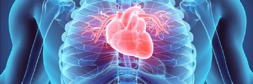 Researchers demonstrate value of AI in predicting heart disease